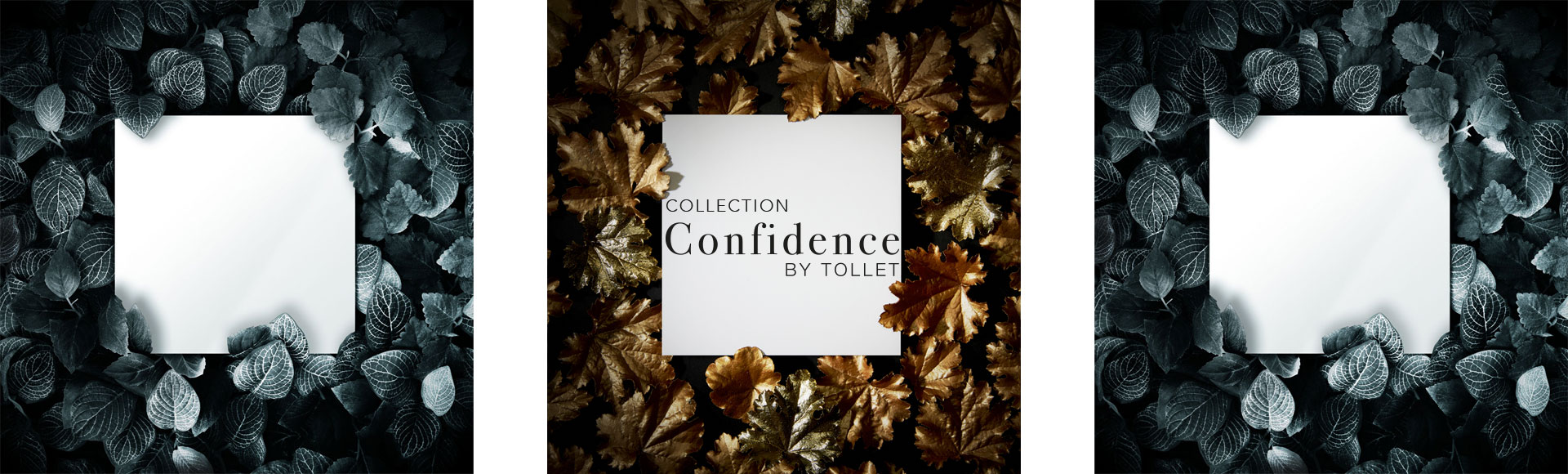 Tollet_Collection-Confidence